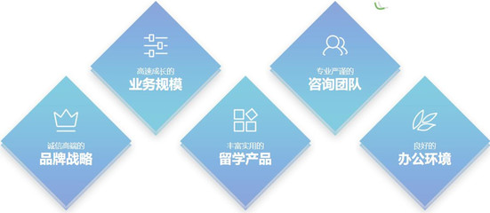 2024年權威盤點 出國留學申請機構與留學信息咨詢平臺前十強解析